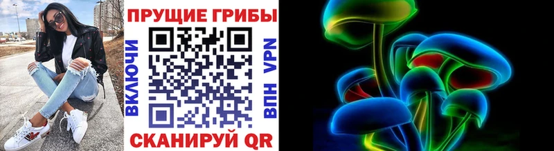 мориарти телеграм  МЕГА   Галлюциногенные грибы MAGIC MUSHROOMS  Николаевск  купить  